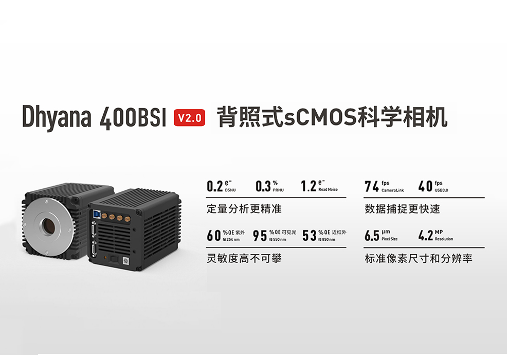 定量分析更精準(zhǔn)，數(shù)據(jù)捕捉更快速， Dhyana 400 BSI V2.0 完成關(guān)鍵性能升級，正式上市！