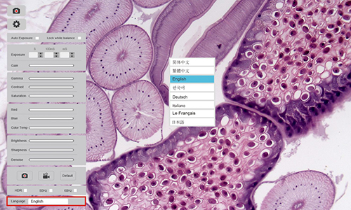 多國本土語言自由切換