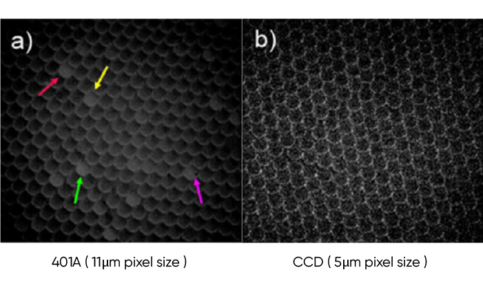 高動態(tài)優(yōu)勢